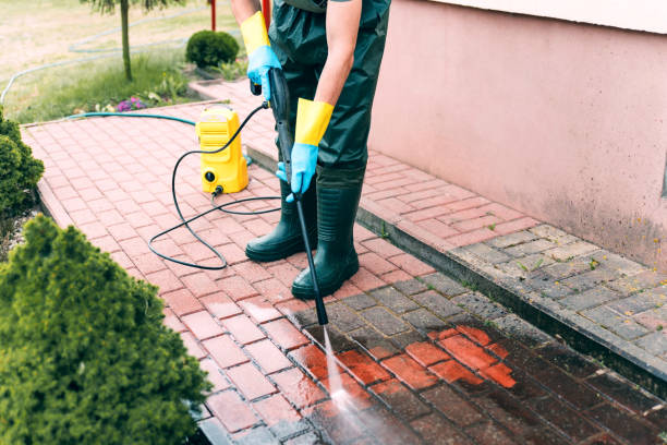 Best Fence Cleaning  in Williamstown, KY
