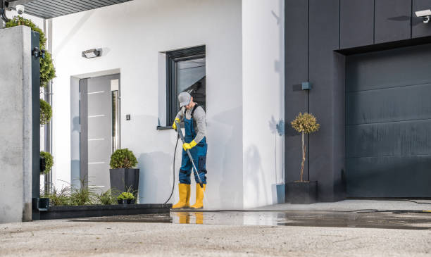 Best Factory Floor Cleaning  in Williamstown, KY